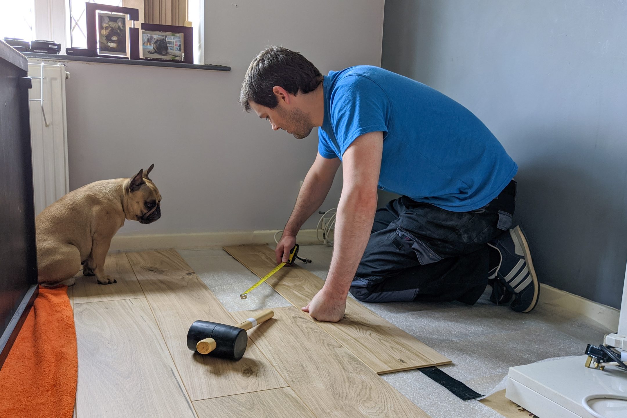 man working on a flooring project in his home with a dog watching